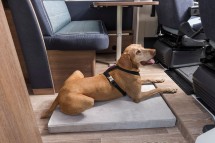 Dethleffshuisdieren pakket